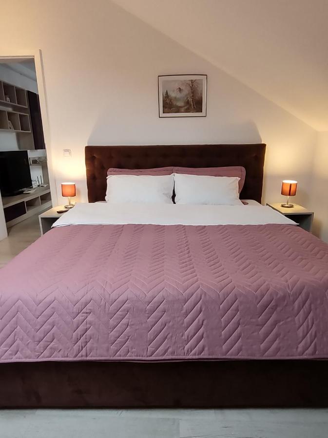 Simona Apartament Palas Mall Yaş Dış mekan fotoğraf