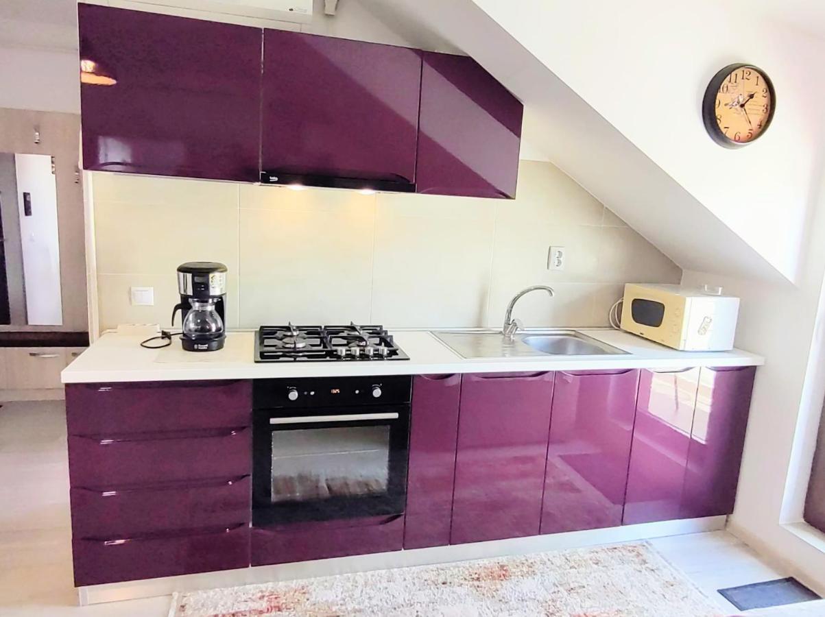 Simona Apartament Palas Mall Yaş Dış mekan fotoğraf